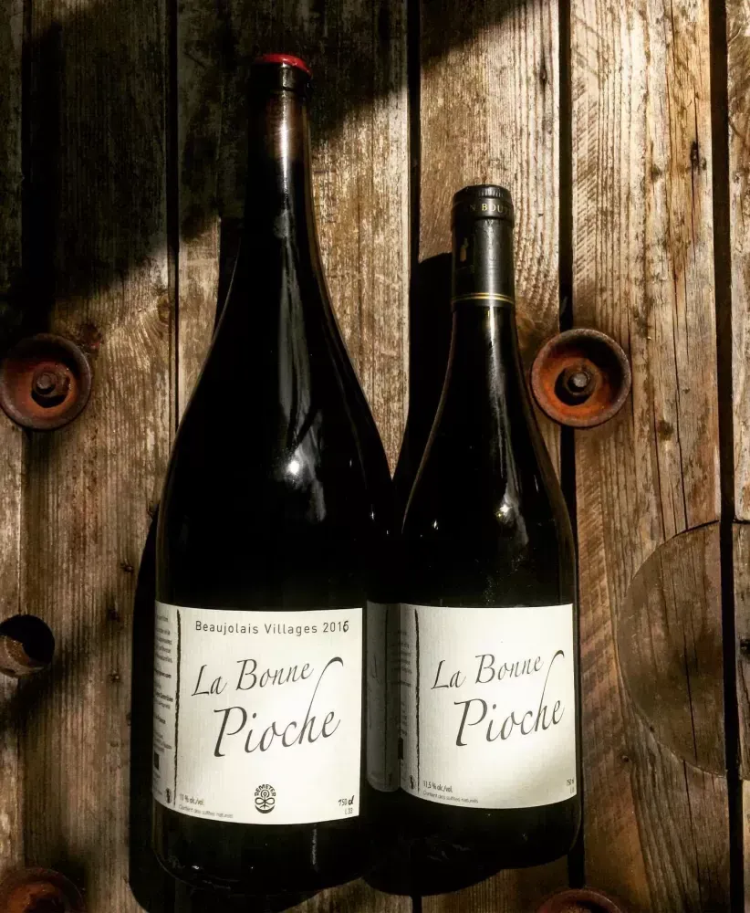 vin bio à Saint-Pierre